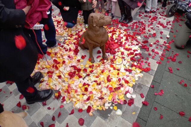 Una statua per Kyra, la cagnolina di Livorno che tutti amavano