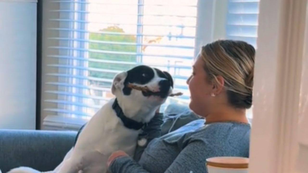 cane e mamma