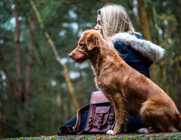 Come si svolge la pet therapy?