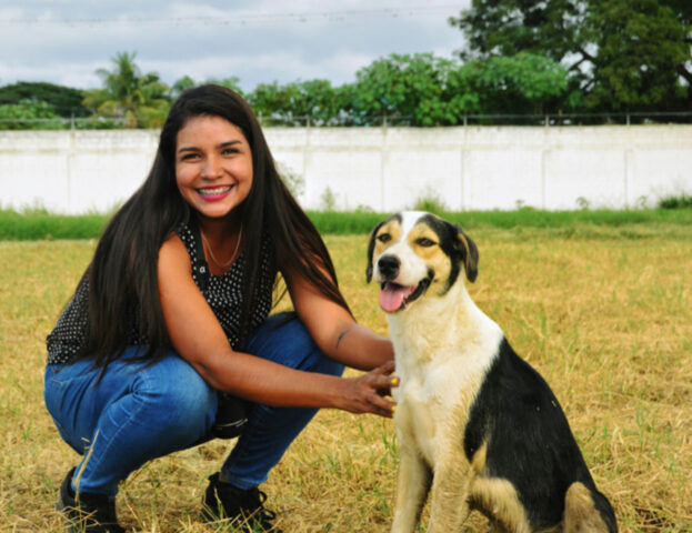 Cosa succede in una seduta dallo psicologo per il cane?