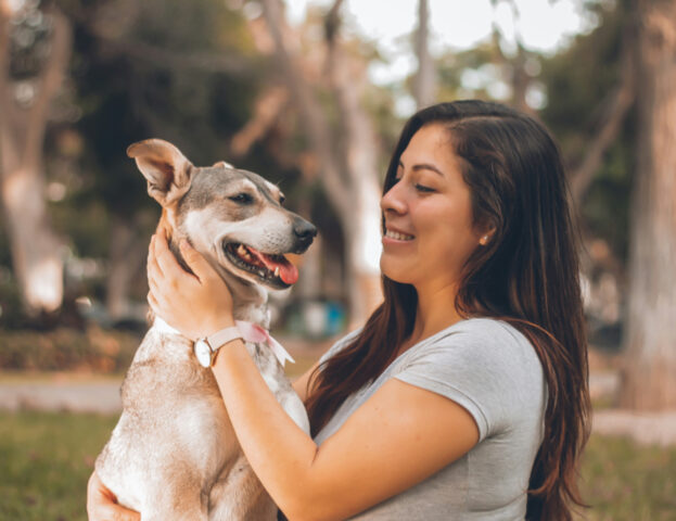 E tu sai per quanto tempo al giorno dovresti davvero stare con il tuo cane?