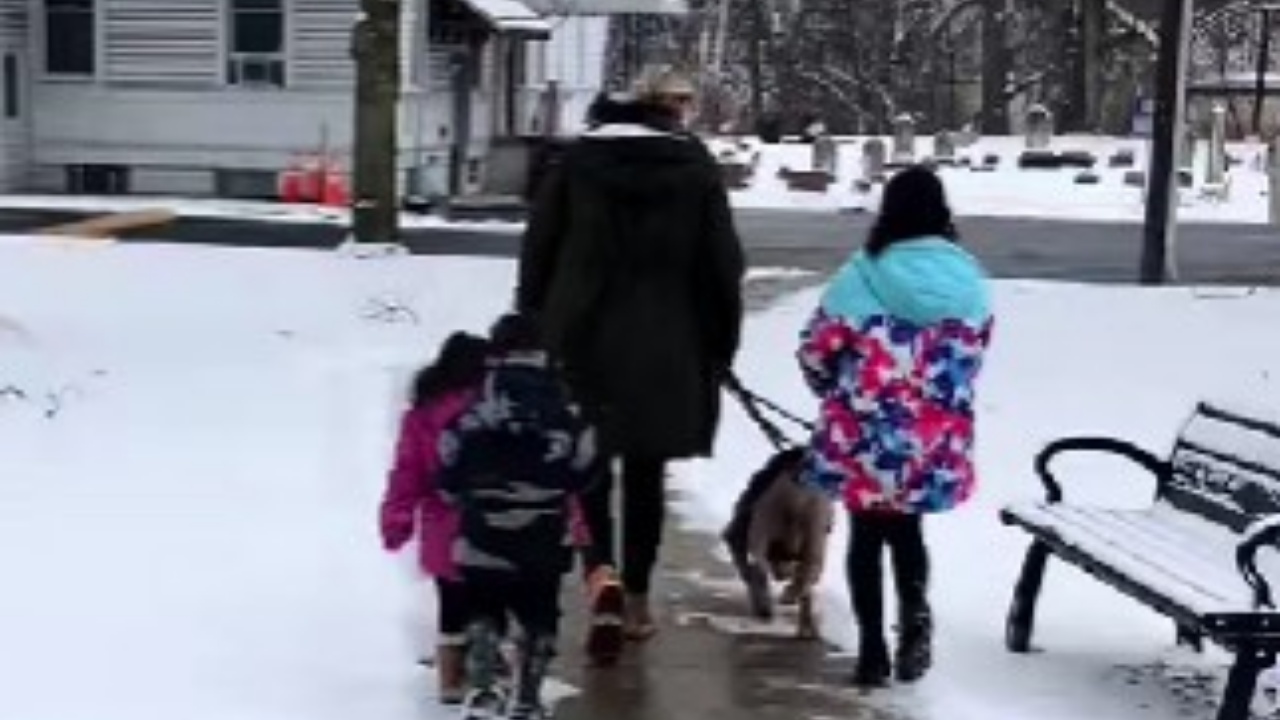 bambini adottano cane dal rifugio