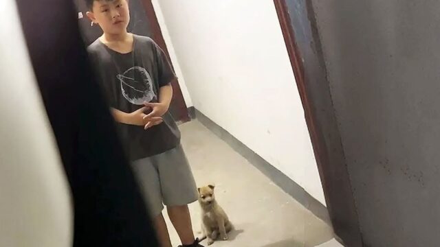 Il bambino torna a casa con il più adorabile dei cagnolini: “Posso tenerlo, per favore?” – Video