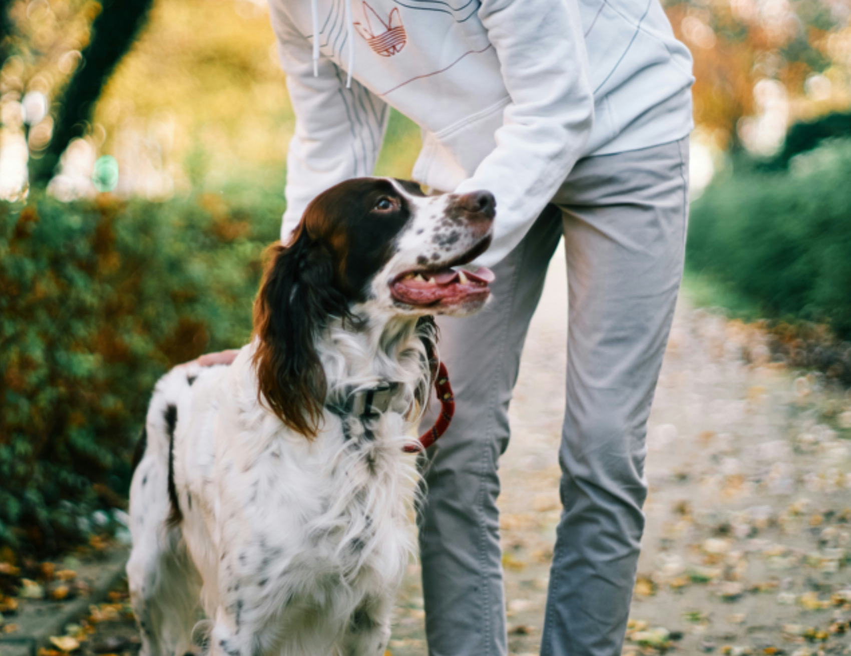 Cane con l’umano