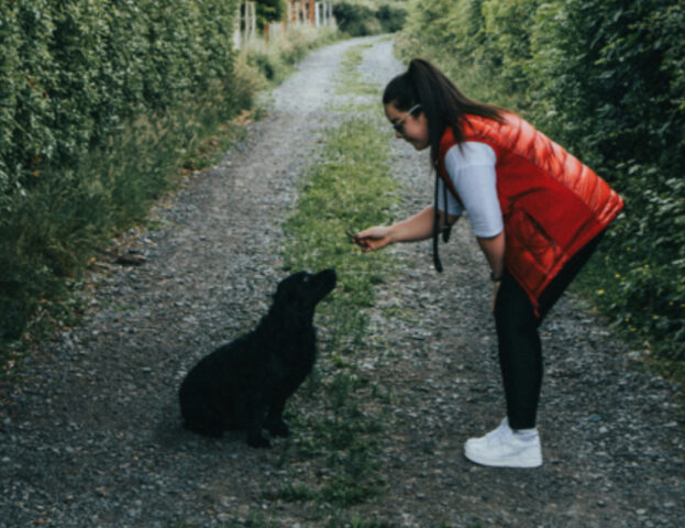 Quanto può costare un educatore per cani?