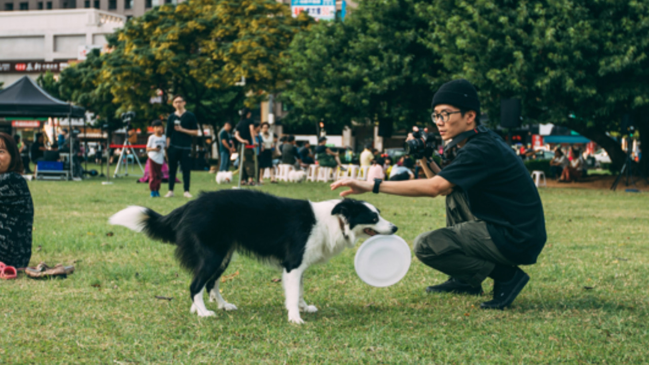 Cane con frisbee