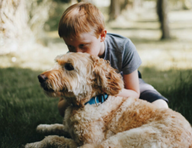 Si può richiedere un cane da pet therapy e come si fa?