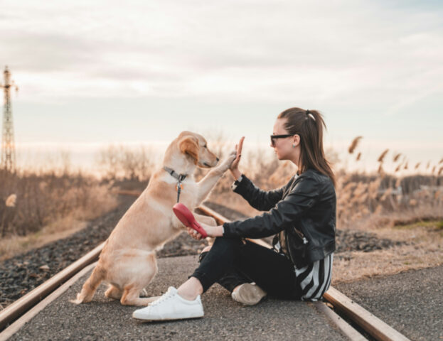 Si può richiedere un cane da pet therapy se soffro di ansia?