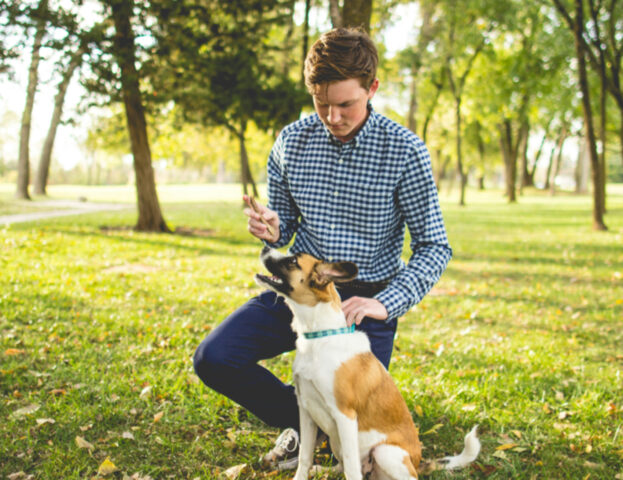 Si può richiedere un cane da pet therapy se sono depresso?