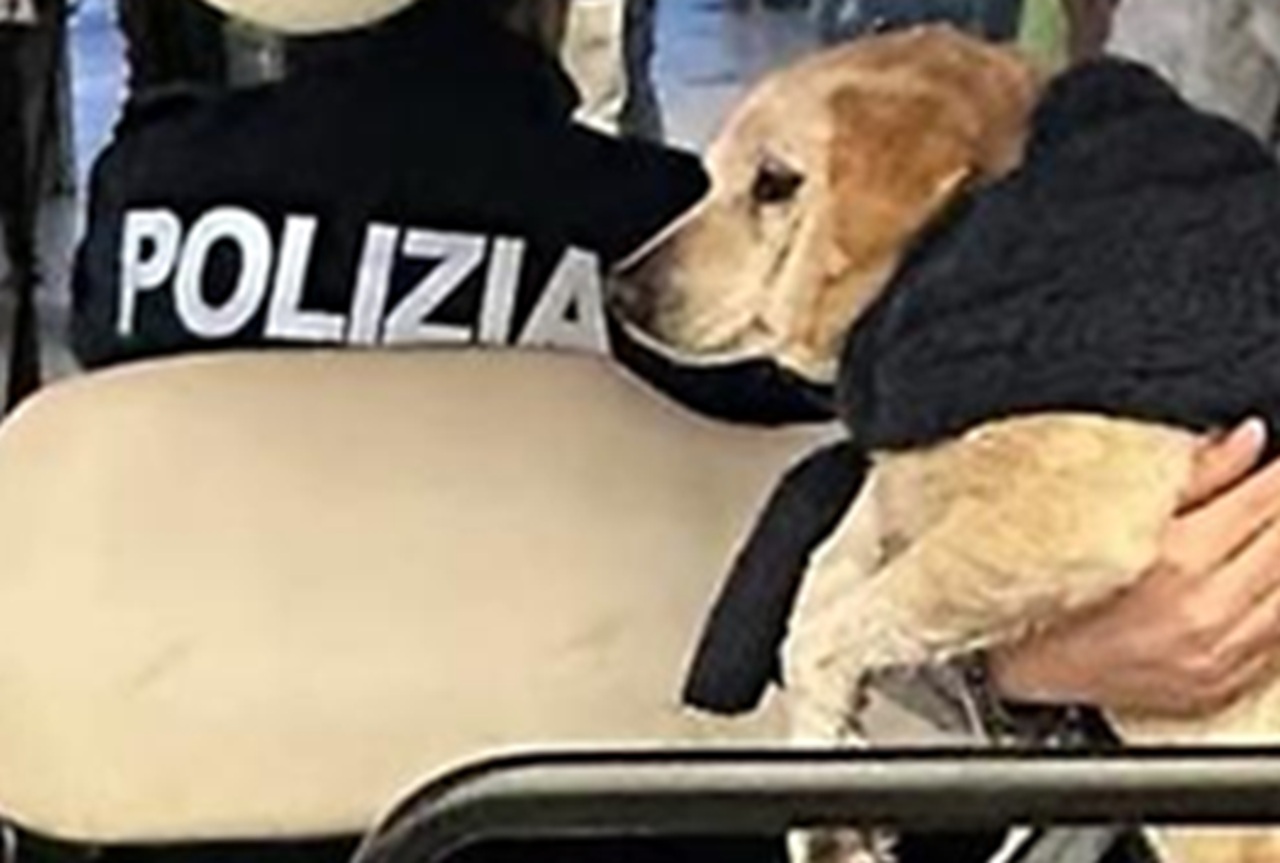 Cane con la polizia