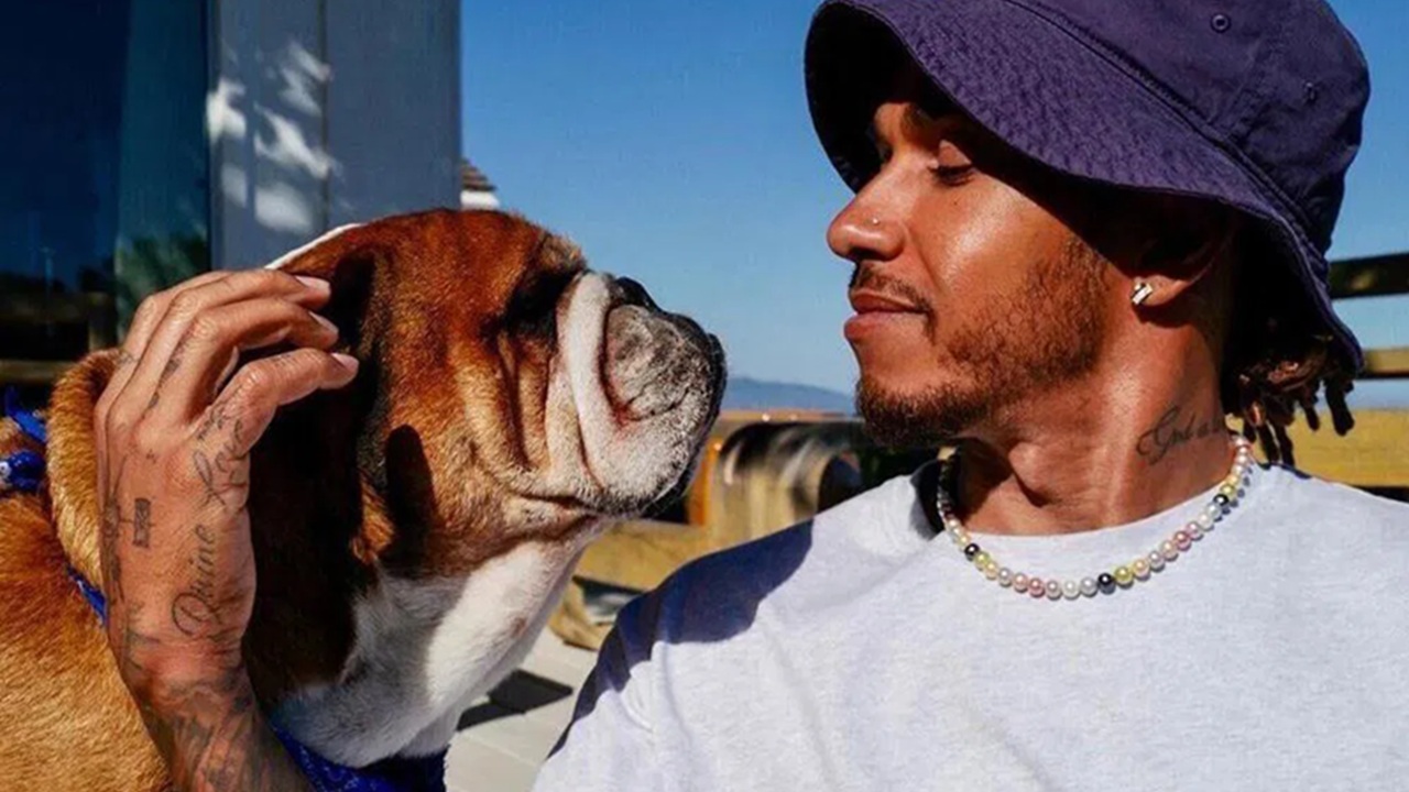 Cane di Lewis Hamilton