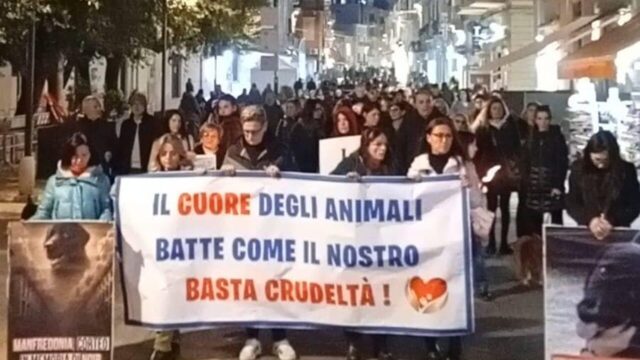 Il corteo di Manfredonia per il cane preso a bastonate: Noir non c’è più