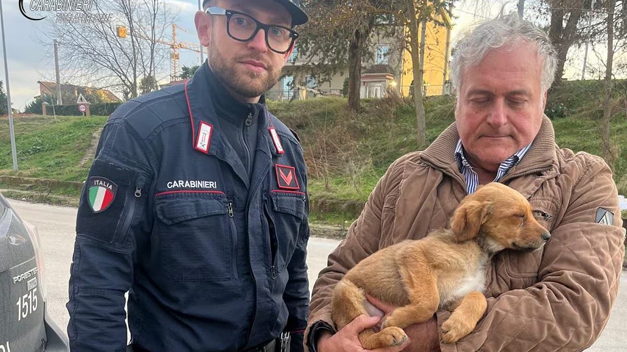 Cucciolo salvato dai Carabinieri