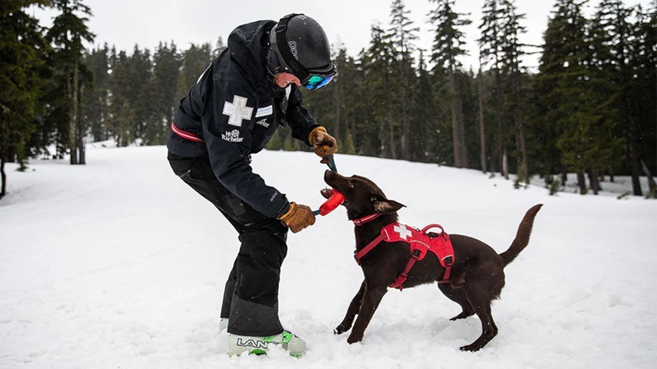 Conduttori di cani da valanga