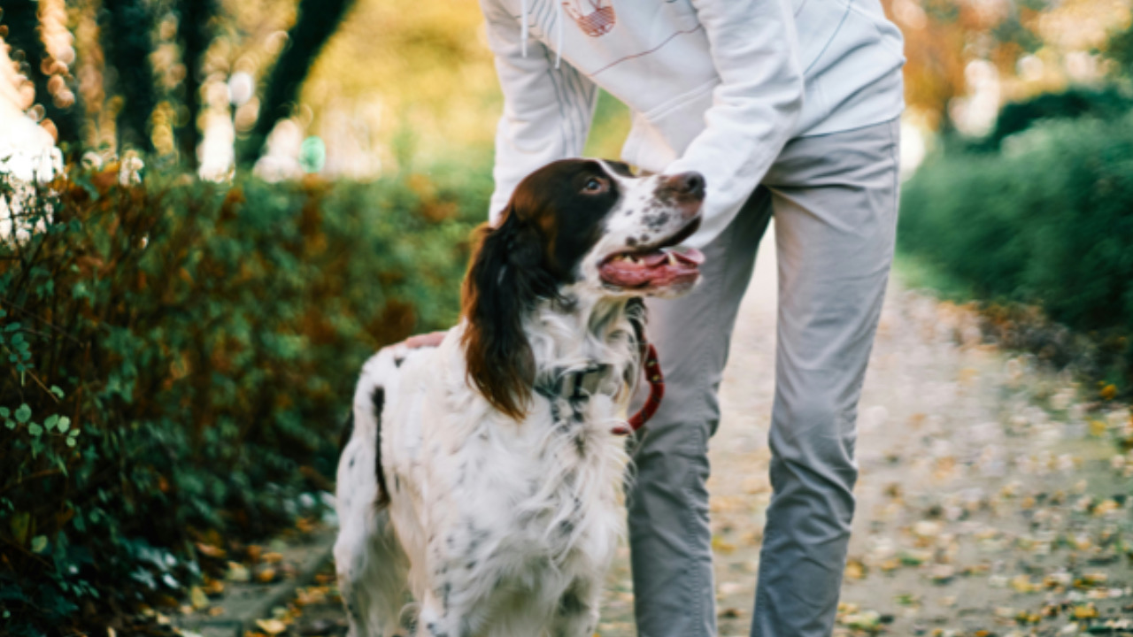 Cane con l’umano