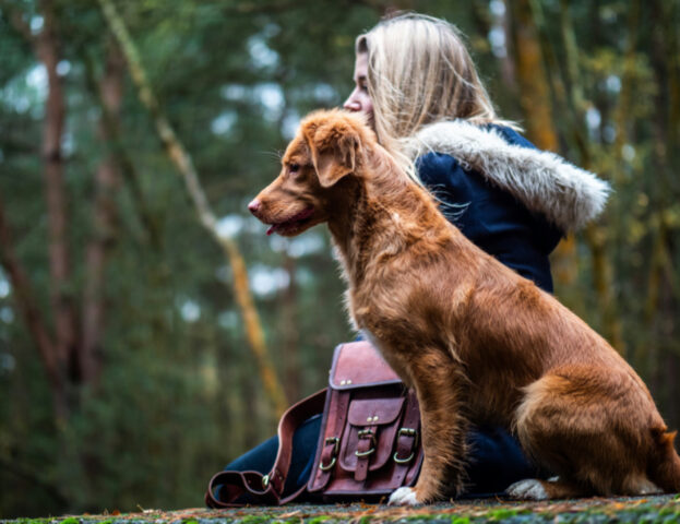 Cosa fa un educatore di cani?