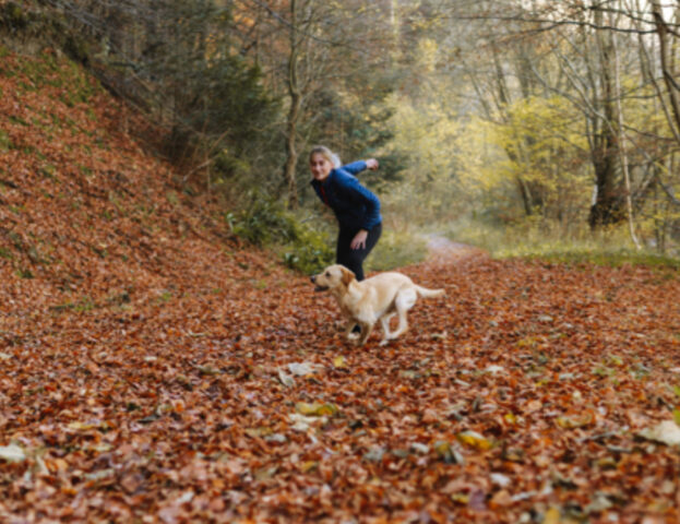 Quando portare il cane dall’educatore?